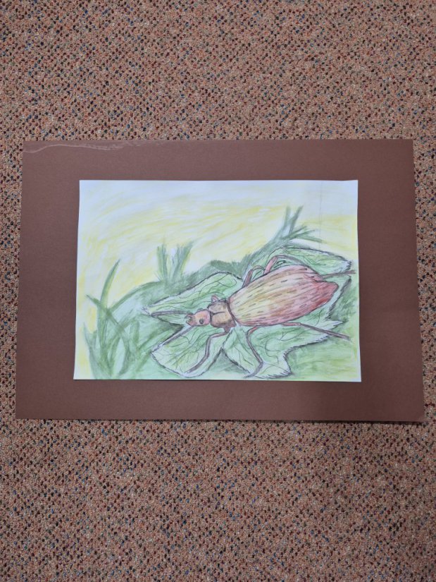 Výtvarná soutěž - Lesy a příroda kolem nás