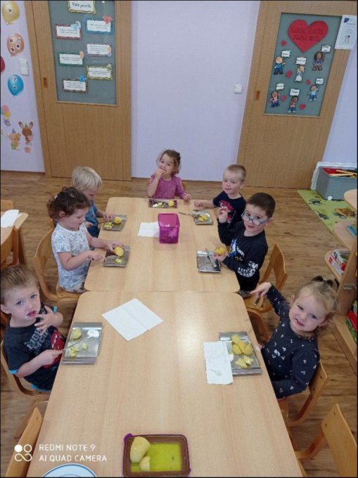 BRAMBORY NA LOUPAČKU - 1. třída MŠ